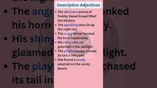 Descriptive Adjectives Examples  English Grammar shorts [upl. by Ahsemal]