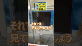 当たってしまった！！ドリームジャンボ換金日2024 大金が舞い込む [upl. by Eiffe]