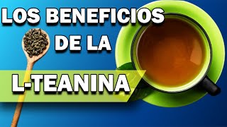 BENEFICIOS DE LA LTEANINA  NUTRICION ORTOMOLECULAR  CAP 067 [upl. by Mont]