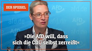 Landtagswahl Videoanalyse zum RechtsaußenWahlsieg  DER SPIEGEL [upl. by Meerek157]