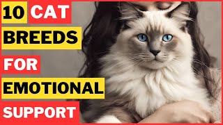 Top 10 Best Cat Breeds for Emotional Support And Well Being [upl. by Cahilly732]