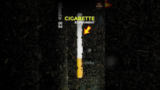 CIGARETTE सिगरेट EXPERIMENT  shorts [upl. by Mittel]