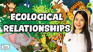 Ecological Relationships Predation Commensalism Mutualism Parasitism Competition  Biology [upl. by Volding]