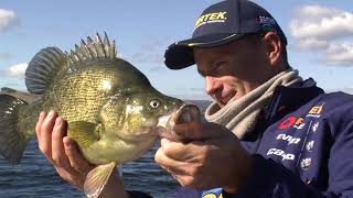 Fishing for Yellowbelly with Vibes  Reel Action TV [upl. by Odelia]