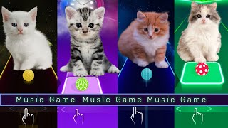 Cute kittens white striped orange and fluffy Gaming Music [upl. by Gascony]