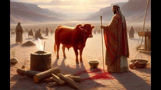 Bible Song  Numbers 19  The Cleansing Power of the Red Heifer  紅母牛的潔淨力量 [upl. by Raynata]