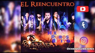 Alacranes musical mix ❌ 🦂🔥 Puros éxitos El reencuentro Dj Chris mauricio [upl. by Allegra]