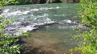 Willows campground along the Tieton river 🙂 [upl. by Myrna]