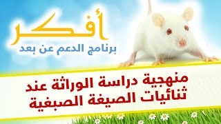 دروس أفكر  منهجية دراسة الوراثة عند ثنائيات الصيغة الصبغية [upl. by Esille]