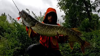 BROCHET et CHEVESNE au Big bait  Le POWER FISHING [upl. by Shriver]