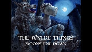 Wylde Things  Moonshine Down [upl. by Rasec]