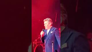 Cheri Cheri Lady Live chericherilady moderntalking thomasanders music live concert shorts [upl. by Bautista]