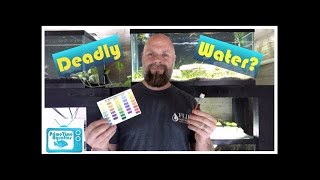 The Silent Killer  Nitrates in Your Fish Tank  What to Do About Them [upl. by Prosper283]