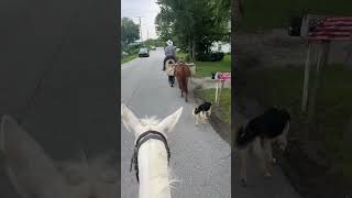 Pineville Missouri riding along [upl. by Kylila375]