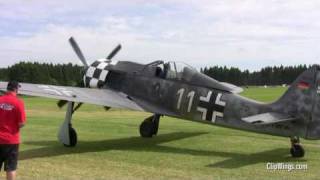 Focke Wulf FW 190 Closeups amp GREAT SOUND  Airshow Germany 2010 [upl. by Tremaine]