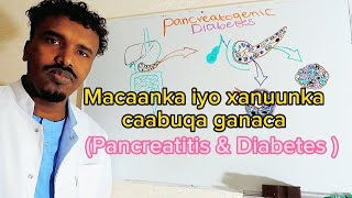 Xanuunka Macaanka iyo caabuqa GanacaPancreatitis amp Diabetes [upl. by Eyeleen]