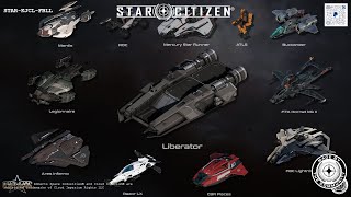 My Pirate Fleet  Star Citizen [upl. by Hoenack]