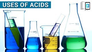 Uses of some common Acids in Daily life  Oxford Secondary Science  elearn k12 [upl. by Petrick]