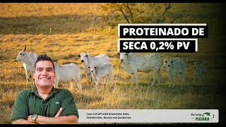 Como fazer proteinado de seca 02 PV [upl. by Jamieson]