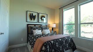 Timber Ridge Conroe Model  Impression Homes [upl. by Esoryram]