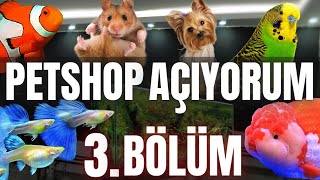 PETSHOP AÇIYORUM 3BÖLÜM  VLOG akvaryum akvaryumbalığı lepistes petshop akvaryumbalıkları [upl. by Joline]