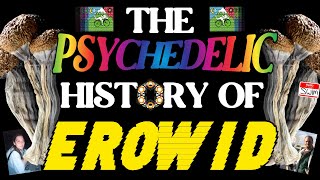 The Comprehensive History of Erowid A Psychedelic Dive Into Consciousness [upl. by Nogam311]