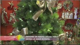 Árvore de Natal dicas para deixála mais bonita [upl. by Llerryt638]