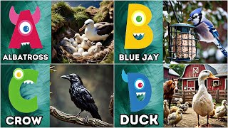 Birds ABC Song for Kids  Phonics for Kids  Alphabet Letters  Learn ABC for Kids  ABCD [upl. by Hibbert]