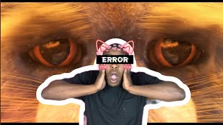 Reacting to 3D Yellowfang Somewhere Only We Know AMV by SpectralPastels Hiatus [upl. by Dupre203]