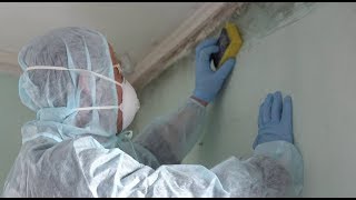 Mold Removal Clean Up or Tear Out [upl. by Robinia392]