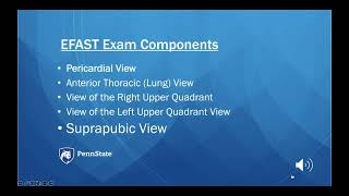 eFAST for EMS Appendix O Suprapubic View [upl. by Yenal472]