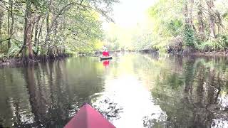 Passing under a bridge as we kayaked on the Loxahatchee River [upl. by Sheryle]