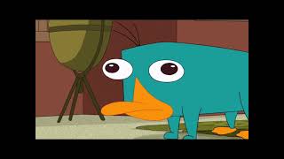 Perry The Platypus Growl Sound Effect [upl. by Ebocaj194]