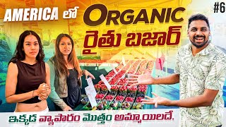 America 🇺🇸 Local Farmers Vegetable amp Fruits Market  Uma Telugu Traveller [upl. by Kolnick]