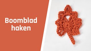 Een boomblad haken [upl. by Drofkcor]