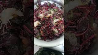 Sobji ar lal sak recipe [upl. by Hardigg559]