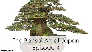 The Bonsai Art of Japan  Episode 4 [upl. by Ecidnarb410]