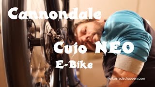 Cannondale Cujo NEO 1  EBike with Shimano STEPS [upl. by Yand]