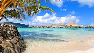 Tahiti Time 3 Hours of Overwater Bungalow Bliss From French Polynesia [upl. by Akeylah]