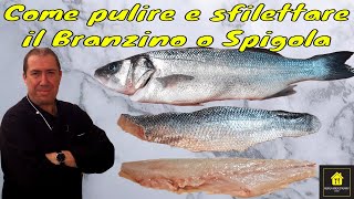 Come pulire e sfilettare il Branzino o Spigola [upl. by Rosario]