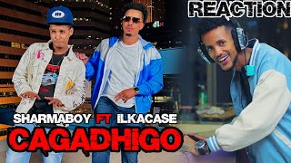 CAGA DHIGO Sharma Boy Ft Ilkacase Qays X ArimaHeena Reaction [upl. by Yesac640]