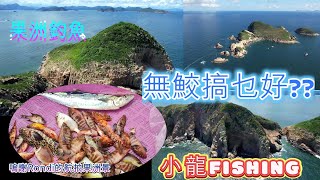 小龍fishing206果洲西南流無鮫魚變FIT魷艇釣 fishing0118 [upl. by Euhsoj]