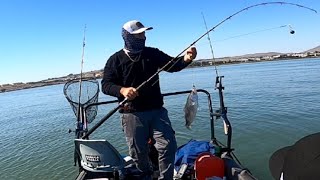 Sturgeon fishing in Martinez [upl. by Kcinomod]