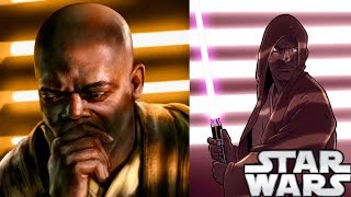 How Mace Windu Became a Jedi and His Past Life Featuring Star Wars Theory [upl. by Ledda]