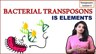 Bacterial Transposons I IS Elements I Composite and Non composite Transposons I [upl. by Kimball]