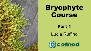 Bryophyte Course Part 1 [upl. by Acinehs]