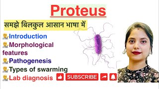 Proteus Bacteria in Hindi  Gram negative bacteria  Pathogens  Lab diagnosis  Bacteriology [upl. by Nnylaf]