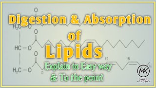 Digestion and absorption of Lipids  Biochemistry  Mirha Coaching Academy [upl. by Atiuqcaj]