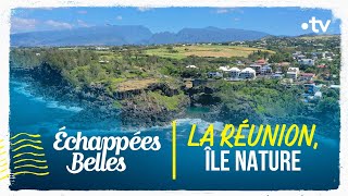 La Réunion île nature  Échappées belles [upl. by Aihcila]