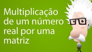 Multiplicação de um número real por uma matriz [upl. by Reivaj]